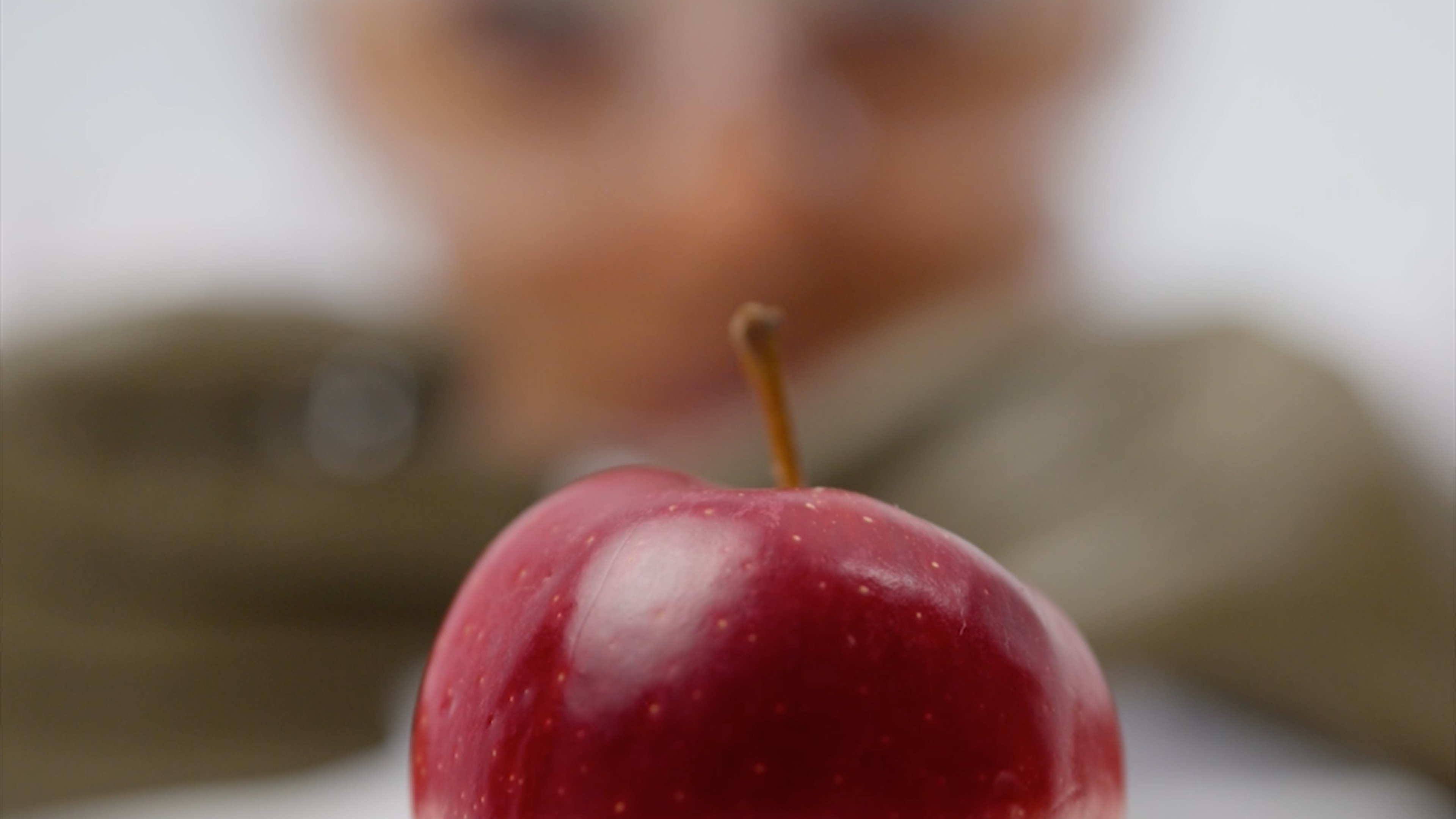 Camaléa Apple Handbag